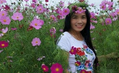 黄色软件草莓丝瓜秋葵免费破解